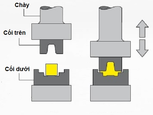 Tổng quan về Chày cối dập nguội